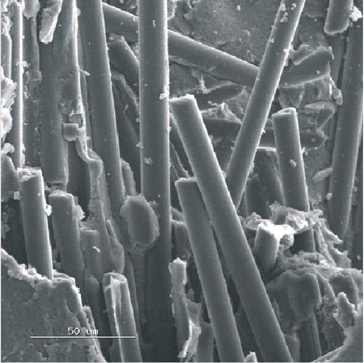 SEM of graphite electrode