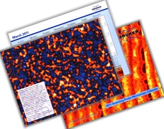 Nanostructured Ultrathin Hydrogel Membrane in Bruker Nano Calendar 2011