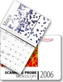 P2VP single molecules in Veeco Calendar 2006
