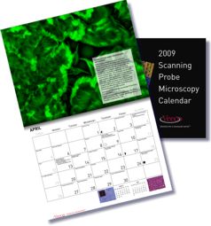 Nanoelectrode Array for Biosensor Applications in Veeco Calendar 2009