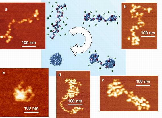 Nanopartices of different shapes based on single molecules